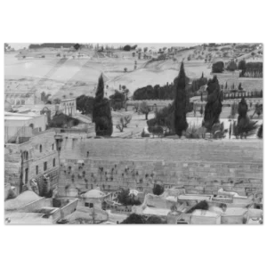 5e7749e0-6505-48fe-8740-ebaab47d7a77