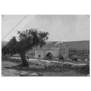 929dd8f8-cfdb-4396-9f76-b29713d094a4